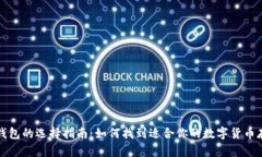 比特币钱包的选择指南：如何找到适合你的数字