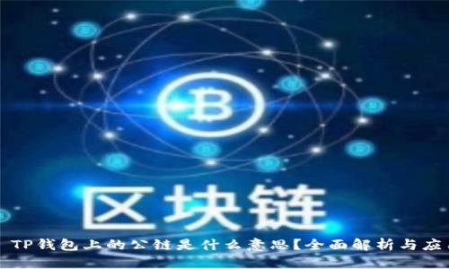 ### TP钱包上的公链是什么意思？全面解析与应用场景