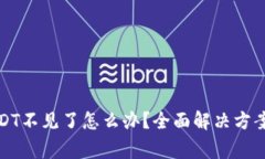 火币钱包里的USDT不见了怎么办？全面解决方案与