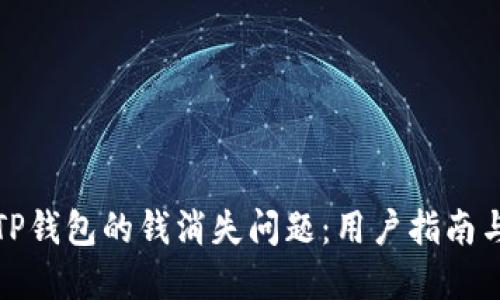如何解决TP钱包的钱消失问题：用户指南与解决方案