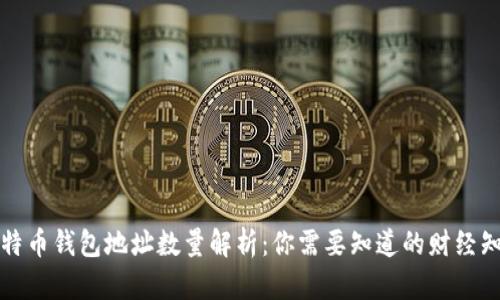 比特币钱包地址数量解析：你需要知道的财经知识