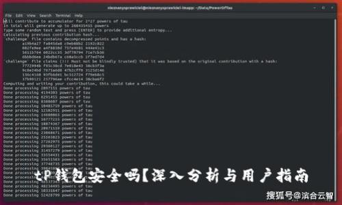 tP钱包安全吗？深入分析与用户指南