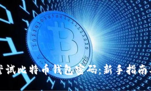 如何快速尝试比特币钱包密码：新手指南及风险分析