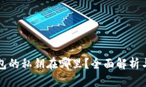 比特币钱包的私钥在哪里？全面解析与安全管理