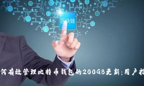 如何有效管理比特币钱包的200GB更新：用户指南