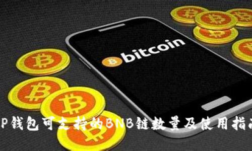 TP钱包可支持的BNB链数量及使用指南