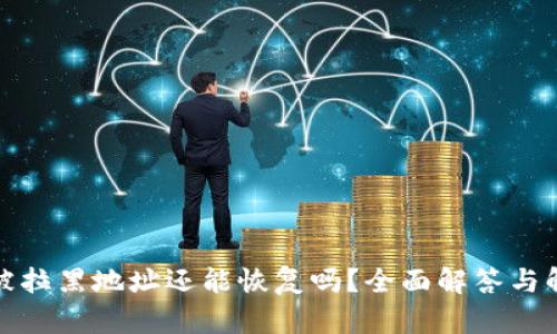 TP钱包被拉黑地址还能恢复吗？全面解答与解决方案