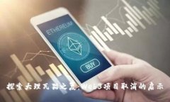 探索大理瓦猫之夏：Web3项目取消的启示