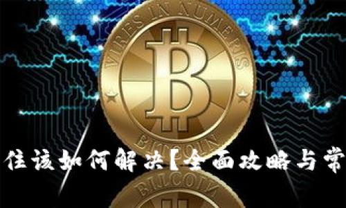 TP钱包币卡住该如何解决？全面攻略与常见问题解答