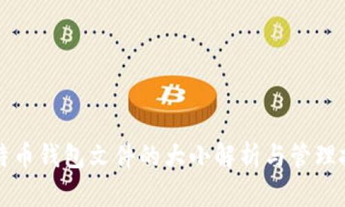 比特币钱包文件的大小解析与管理技巧