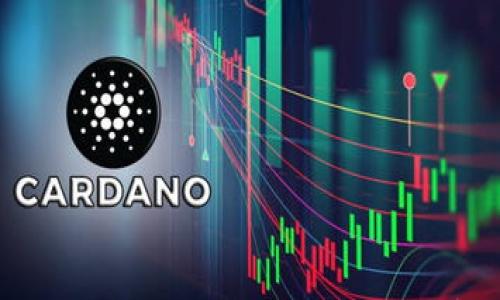 

TP钱包注册需要身份证验证吗？全面解析与用户指南