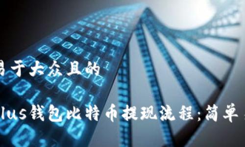 思考一个易于大众且的 

全面了解Plus钱包比特币提现流程：简单易用的指南