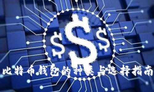 比特币钱包的种类与选择指南