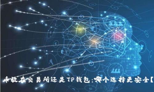 币放在交易所还是TP钱包：哪个选择更安全？
