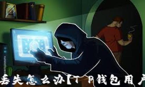 
数字钱包丢失怎么办？T P钱包用户救急指南