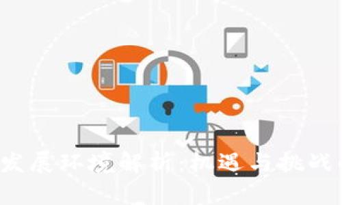 Web3市场发展环境解析：机遇与挑战的全面考量