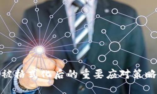 比特币钱包被格式化后的重要应对策略与预防措施