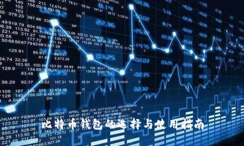 比特币钱包的选择与使用指南