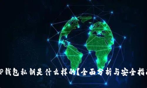 TP钱包私钥是什么样的？全面分析与安全指南