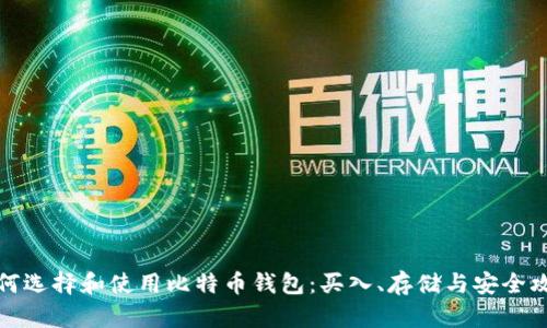如何选择和使用比特币钱包：买入、存储与安全攻略