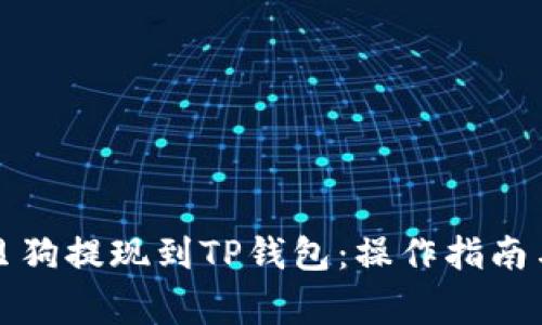 如何将宝贝狗提现到TP钱包：操作指南与注意事项