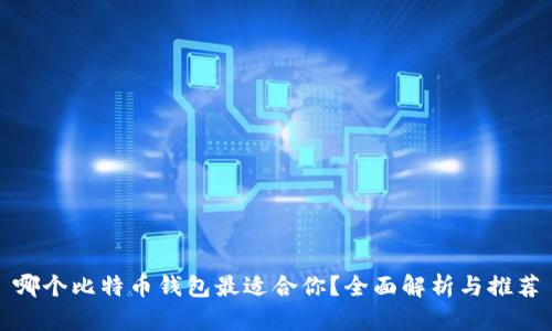 哪个比特币钱包最适合你？全面解析与推荐