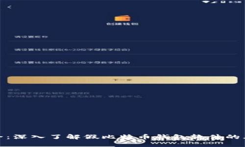 破解与安全：深入了解假比特币钱包软件的风险与预防
