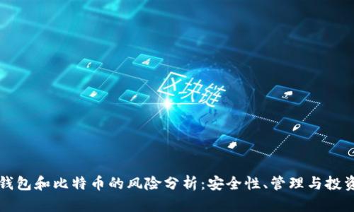 电子钱包和比特币的风险分析：安全性、管理与投资评估