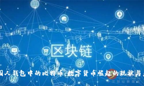 美国人钱包中的比特币：数字货币崛起的现状与未来