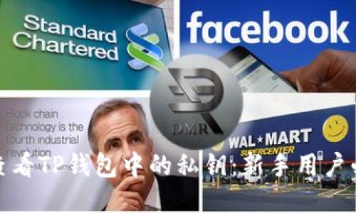 : 如何查看TP钱包中的私钥：新手用户必读指南