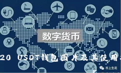 TRC20 USDT钱包图片及其使用指南
