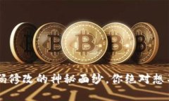 揭开T P钱包密码修改的神秘面纱，你绝对想不到