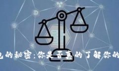 比特币钱包的秘密：你是否真的了解你的数字财