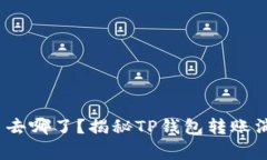 我的Pig币去哪了？揭秘TP钱包转账消失的真相