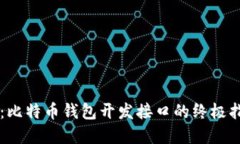 解锁数字货币之门：比特币钱包开发接口的终极