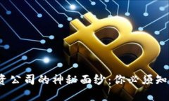 揭开Web3投资公司的神秘面纱：你必须知道的未来