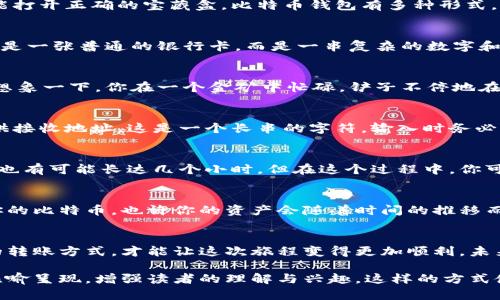 比特币怎么轻松转进钱包？揭开加密世界的秘密

比特币转账, 钱包操作, 加密货币, 区块链/guanjianci

一、比特币钱包的选择：如同挑选一把钥匙
在进入比特币的世界之前，首先需要选择一个合适的钱包。而这个选择就像为你心爱的宝藏挑选一把钥匙，只有合适的钥匙才能打开正确的宝藏盒。比特币钱包有多种形式，比如热钱包和冷钱包。热钱包类似我们平时使用的手机应用，方便快捷；而冷钱包则像是藏在地下室的保险箱，安全但不太方便。

二、创建比特币钱包：踏上数字资产的旅程
一旦选择好你的钱包，你就需要创建一个账户。这一步如同在银行开账户，填写信息、设定密码。然而，在这过程中，你所获得的不是一张普通的银行卡，而是一串复杂的数字和字母组合的密钥。这个密钥是你进入比特币世界的通行证，不可泄露，也不能遗失。

三、获取比特币的途径：寻找你的金矿
现在，你已经拥有了通向加密货币的大门，接下来就是获取比特币。可以通过多种方式获得比特币，比如购买、挖矿或接受支付。想象一下，你在一个金矿中忙碌，铲子不停地在泥土中敲击，丰收的比特币就像金块一样，从地层中冒出头来。

四、将比特币转入钱包：移动财富的艺术
一旦获得比特币，你需要将它们转入你的钱包。这就像是将珠宝从一个展览柜中小心翼翼地搬到你的私人保险箱里。你需要提供接收地址，这是一个长串的字符，输入时务必小心，以免出错。一旦确认，点击发送按钮，就像把珠宝放入了保险箱，等待它们安全到达。

五、转账确认：等待的过程，充满期待
转账后，等待确认的过程就像是在等待一封重要信件的到来。比特币交易通过区块链网络进行确认，这个过程有时需要几分钟，也有可能长达几个小时。但在这个过程中，你可以感受到每一次确认带来的心跳加速，那是一种对财富安全的期待。

六、查看余额：资产增值的瞬间
确认成功后，打开你的钱包应用，查看余额的那一刻，就像在翻开一本尘封的书籍，看到每一页上记录的财富和努力。持续关注你的比特币，也许你的资产会随着时间的推移而增值，充满期待。

七、总结：掌握比特币交易的关键
通过以上步骤，你已经学会了如何将比特币转入钱包。在这个过程中，安全性与便利性同样重要，选择适合你的钱包、掌握正确的转账方式，才能让这次旅程变得更加顺利。未来的日子里，可能会有更多的创新和发展，让我们一同期待那一天的到来。

整体内容框架围绕如何将比特币转入钱包展开，从钱包的选择、创建，到获取比特币，再到转账和确认，每一步都以生动形象的比喻呈现，增强读者的理解与兴趣。这样的方式使得内容自然流畅，富有故事感，拉近与读者的距离。