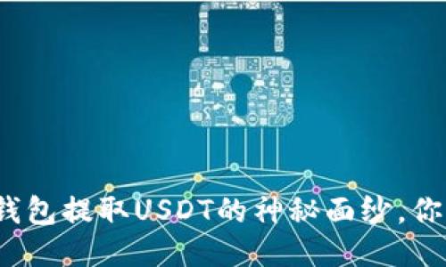 揭开小狐狸钱包提取USDT的神秘面纱，你准备好了吗？