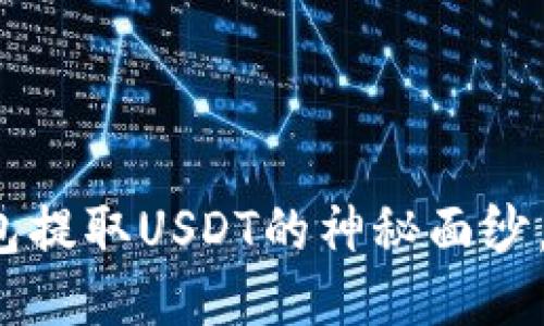 揭开小狐狸钱包提取USDT的神秘面纱，你准备好了吗？