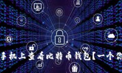 如何安全便捷地在手机上查看比特币钱包？一个