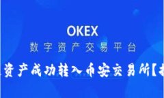 如何将TP钱包中的币安链资产成功转入币安交易所