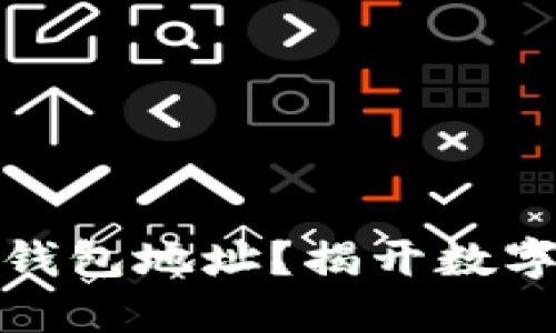 如何查看比特币钱包地址？揭开数字货币的神秘面纱