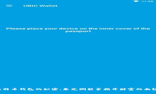 比特币钱包的秘密：朱光洲能否揭开财富的面纱？