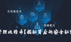 如何利用数钱包管理比特币？揭秘背后的安全秘