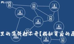  为什么TP钱包里的薄饼打不开？揭秘背后的原因