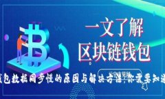 比特币钱包数据同步慢的原因与解决方法：你需