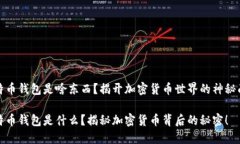 比特币钱包是啥东西？揭开加密货币世界的神秘