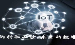 揭开Web3元宇宙的神秘面纱：未来的数字生活是什