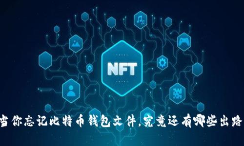 当你忘记比特币钱包文件，究竟还有哪些出路？