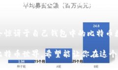 比特币钱包：你每天能收获多少惊喜？比特币,